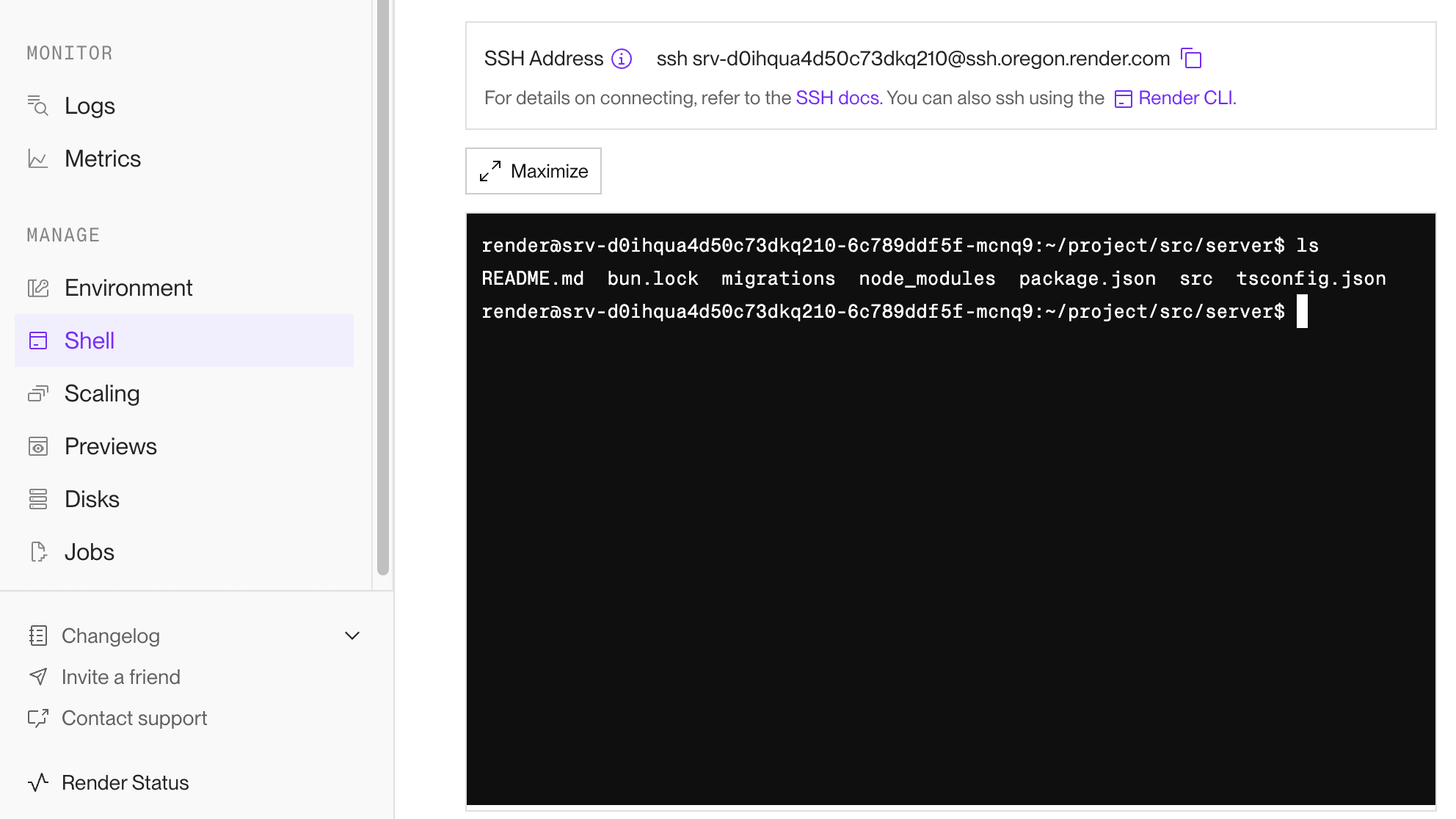 Accessing a service via its Shell page in the Render Dashboard